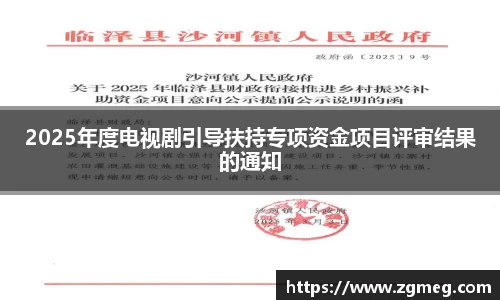 2025年度电视剧引导扶持专项资金项目评审结果的通知